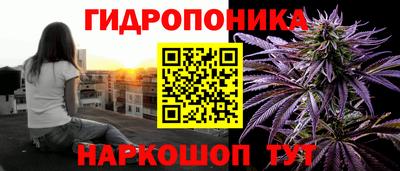 ПСИЛОЦИБИНОВЫЕ ГРИБЫ Жуковский