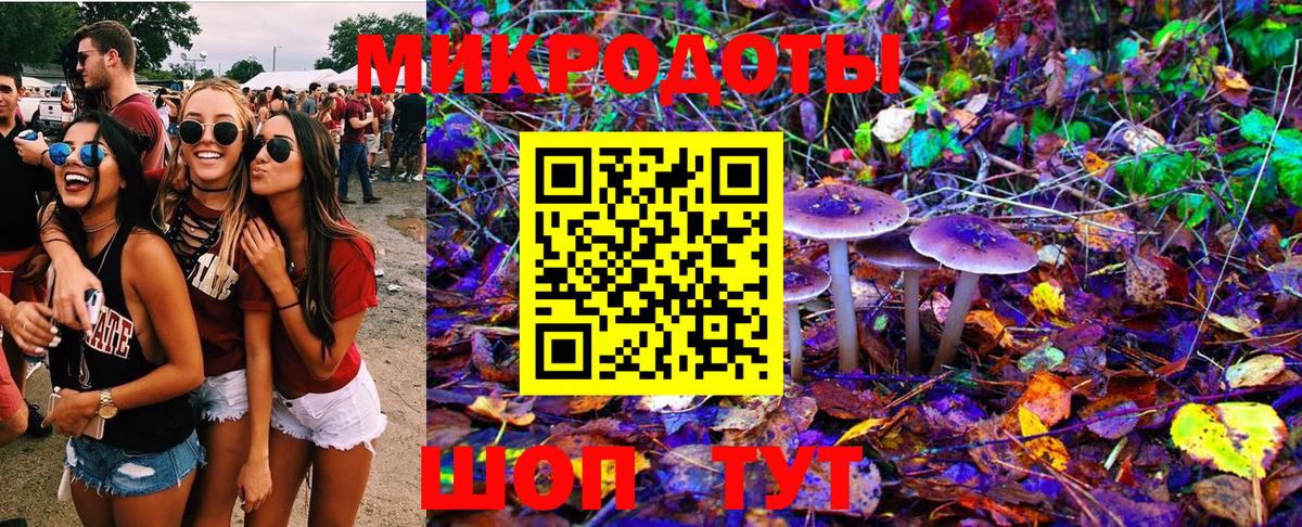 Псилоцибиновые грибы Psilocybine cubensis  сколько стоит  Дагестанские Огни  Вход с VPN 
